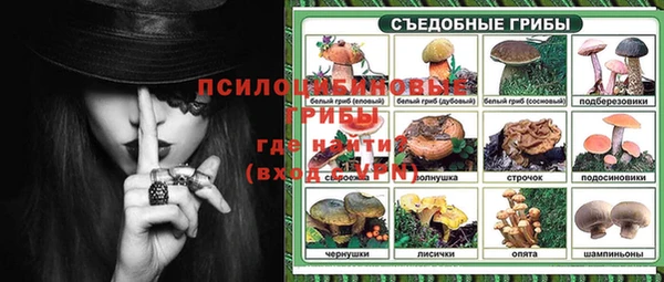 бошки Бородино