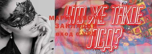 сатива Котовск