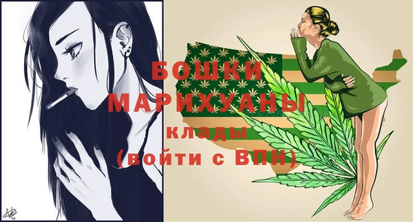 гашик Мегион